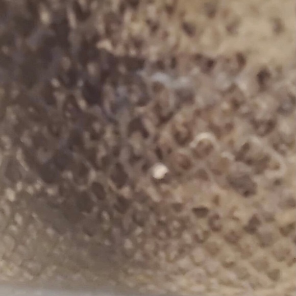 RARE $1,600 Coach Borough Bag in Exotic Embossed Python & Glovetanned Leather - Picture 8 of 15